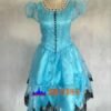 Alice's Adventures in Wonderland /Alice in Wonderland alice cosplay costume
