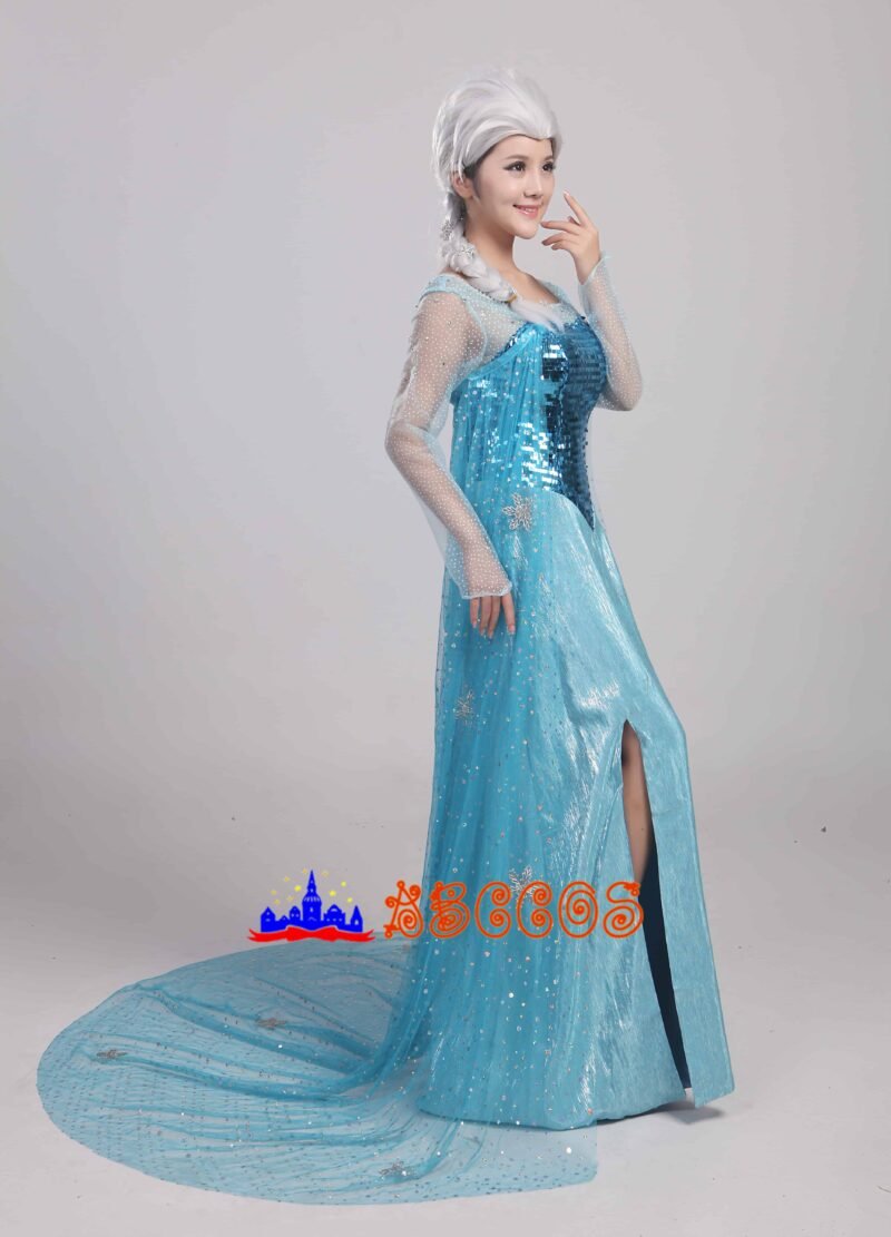 Frozen Princess Elsa cosplay costume Frozen Princess Elsa cosplay costume