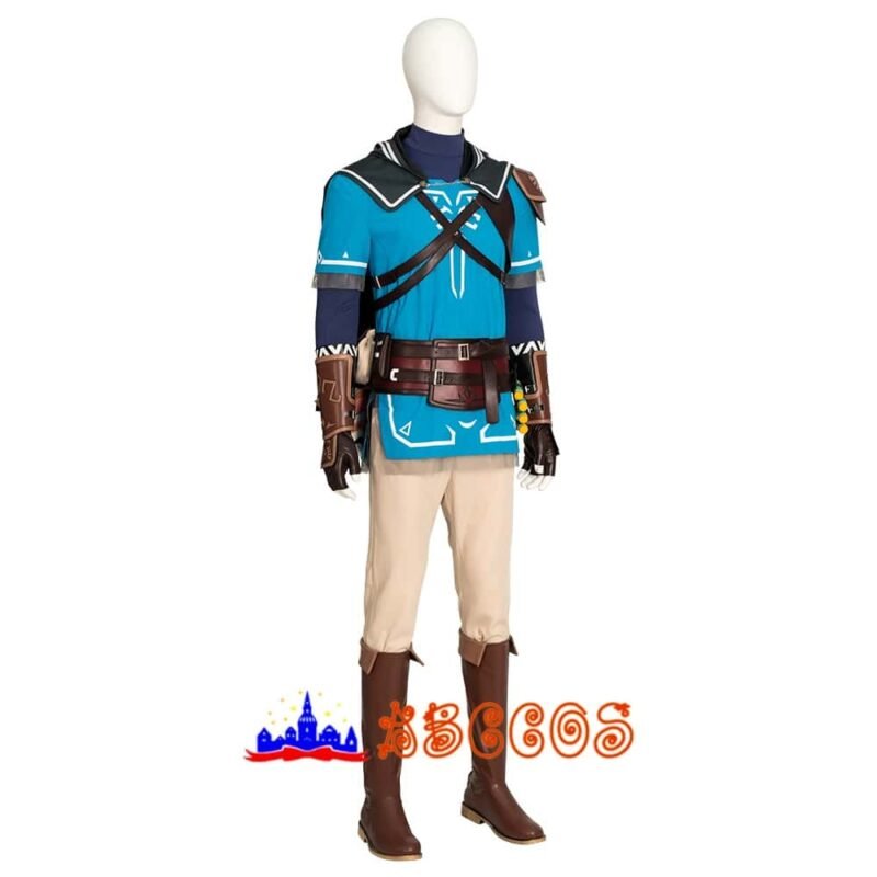 The Legend of Zelda: Tears of the Kingdom Link cosplay costume