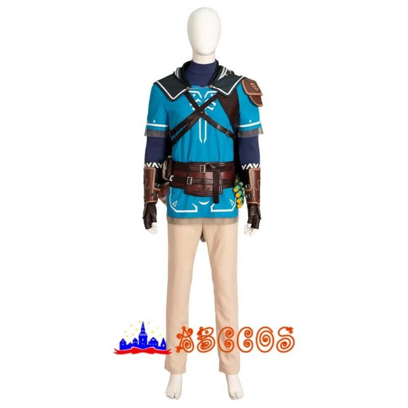 The Legend of Zelda: Tears of the Kingdom Link cosplay costume
