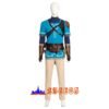 The Legend of Zelda: Tears of the Kingdom Link cosplay costume