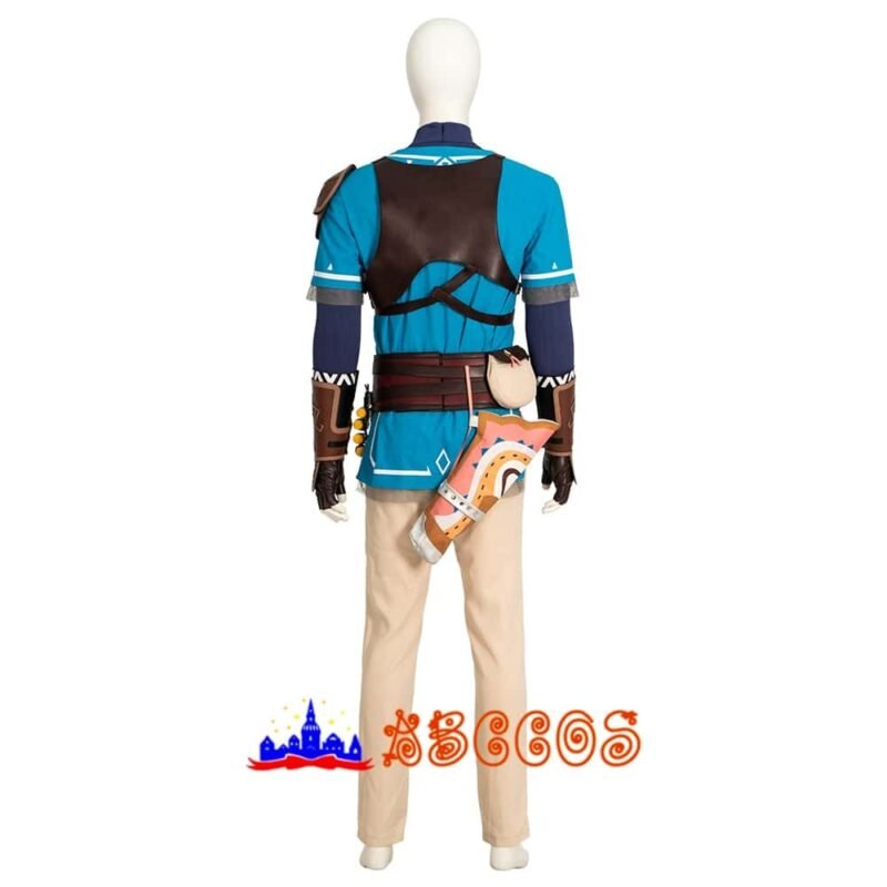 The Legend of Zelda: Tears of the Kingdom Link cosplay costume