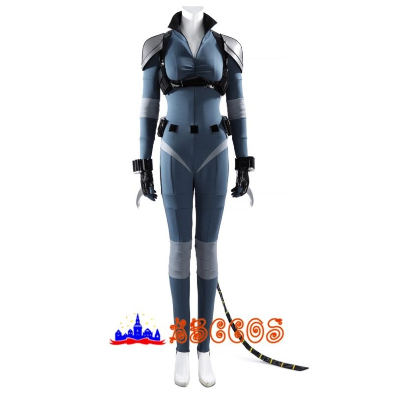 Absolute catwoman cosplay costume