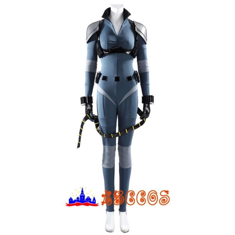 Absolute catwoman cosplay costume