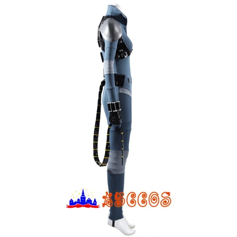 Absolute catwoman cosplay costume