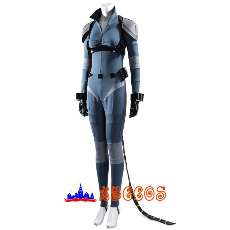 Absolute catwoman cosplay costume