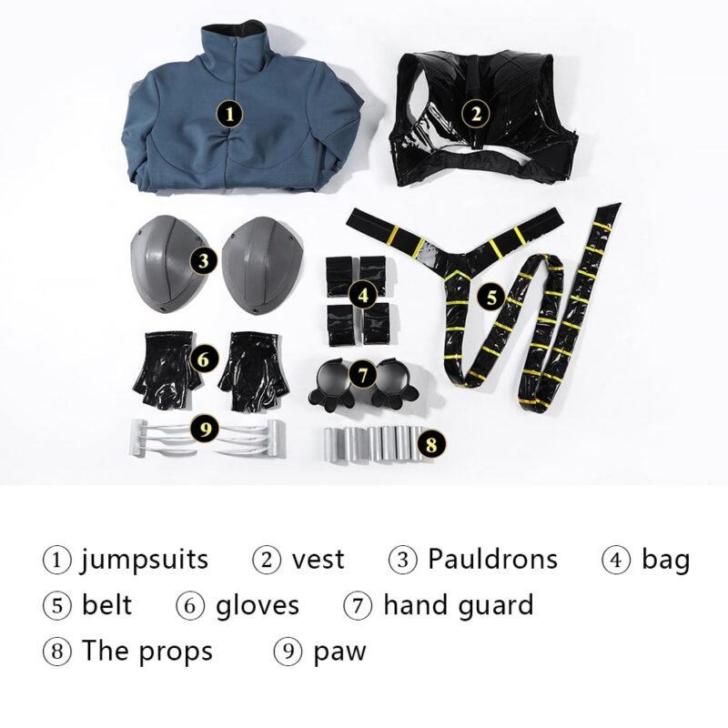 Absolute catwoman cosplay costume